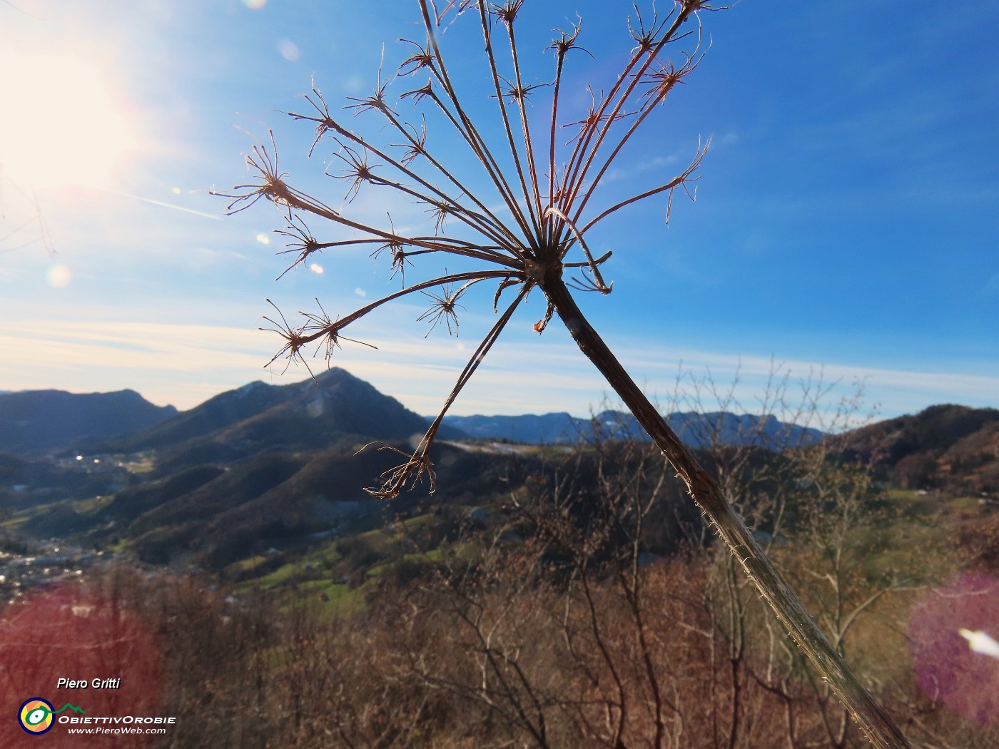 20 Monte Gioco (1366 m) in controsole.JPG